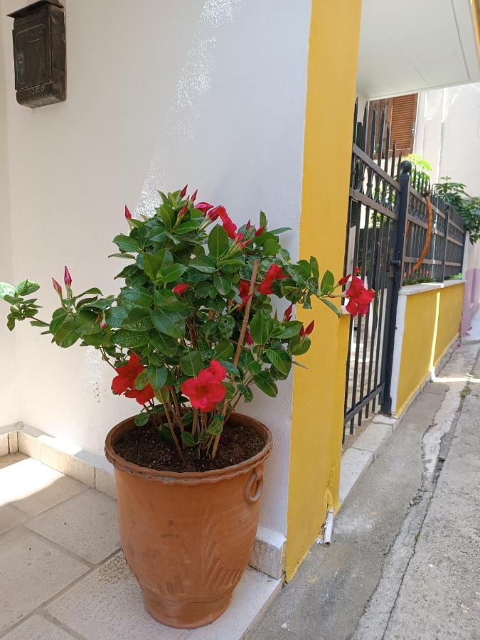 Stefanos Family Apartment Лефкада Экстерьер фото